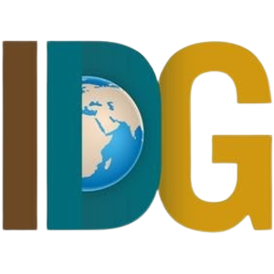Logo of International Development Group 